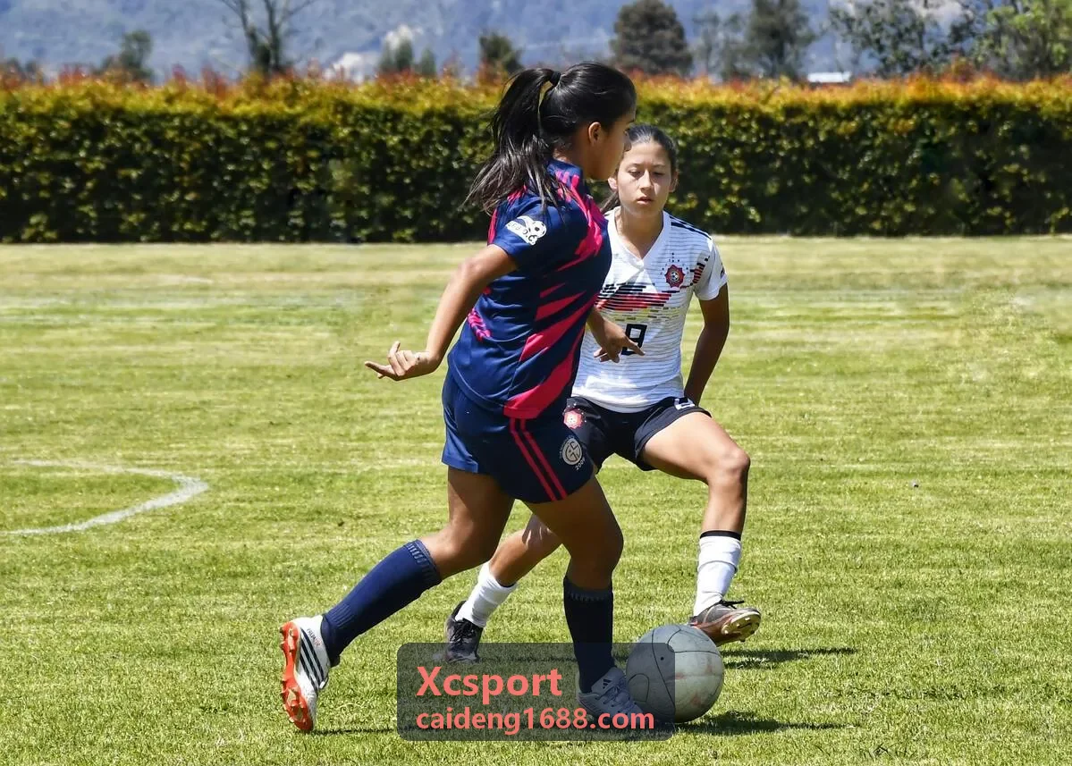Xcsport 企业健身案例